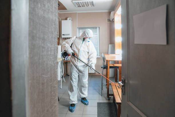 Best HVAC Mold Inspection and Cleaning  in Loveland, CO