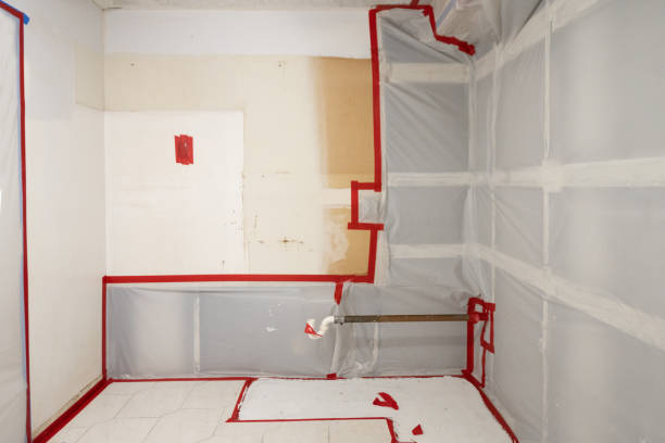 Best Water Damage & Mold Remediation  in Loveland, CO