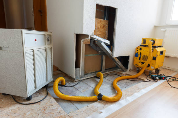 Best Real Estate Mold Inspection  in Loveland, CO