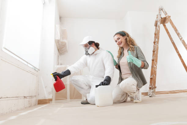Best Crawl Space Mold Remediation  in Loveland, CO