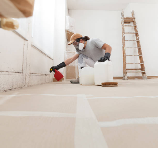Best Industrial Mold Remediation  in Loveland, CO