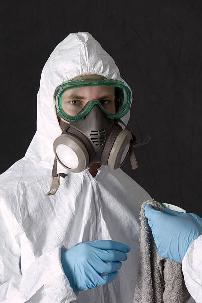 Best Emergency Mold Remediation  in Loveland, CO